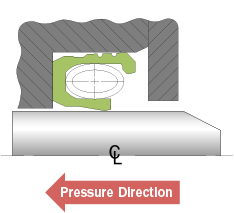 Bal Seal® low-speed rotary sealing diagram